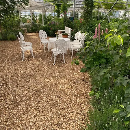Luxe Glamping Tent Met Sterrenhemel Rijsenhout Exterior photo
