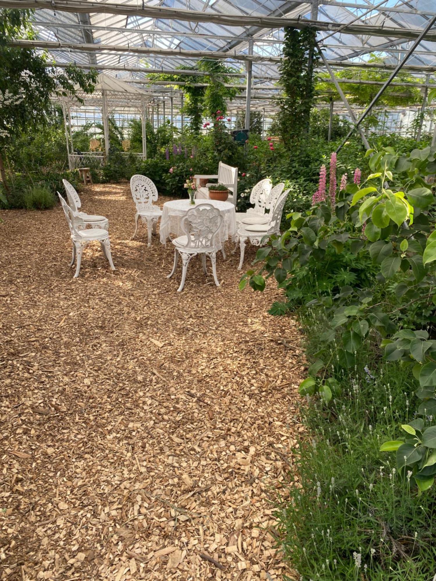 Campo de lujo Luxe Glamping Tent Met Sterrenhemel